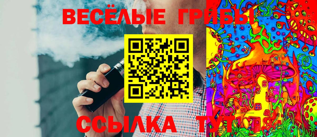 Галлюциногенные грибы Psilocybe Уссурийск