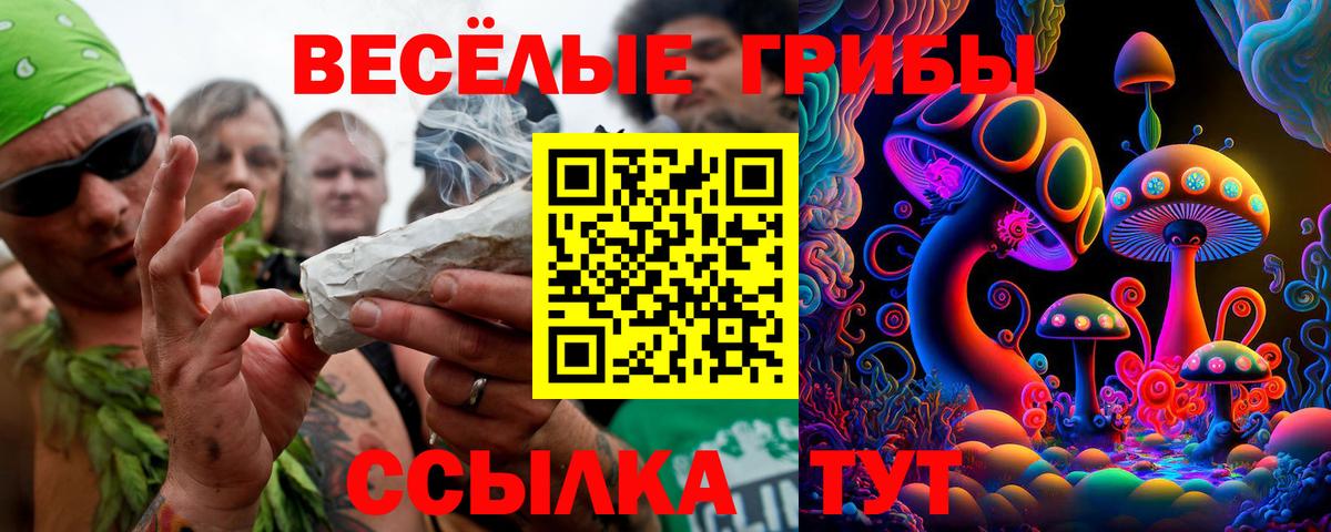 Галлюциногенные грибы мухоморы  Вход с VPN  Уссурийск 